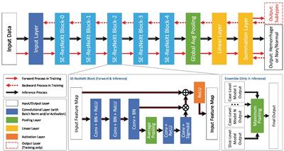 Real world validation of an AI-based CT hemorrhage detection tool